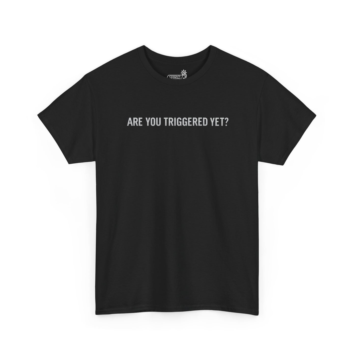 Black t-shirt with white text 'ARE YOU TRIGGERED YET?' on a white background